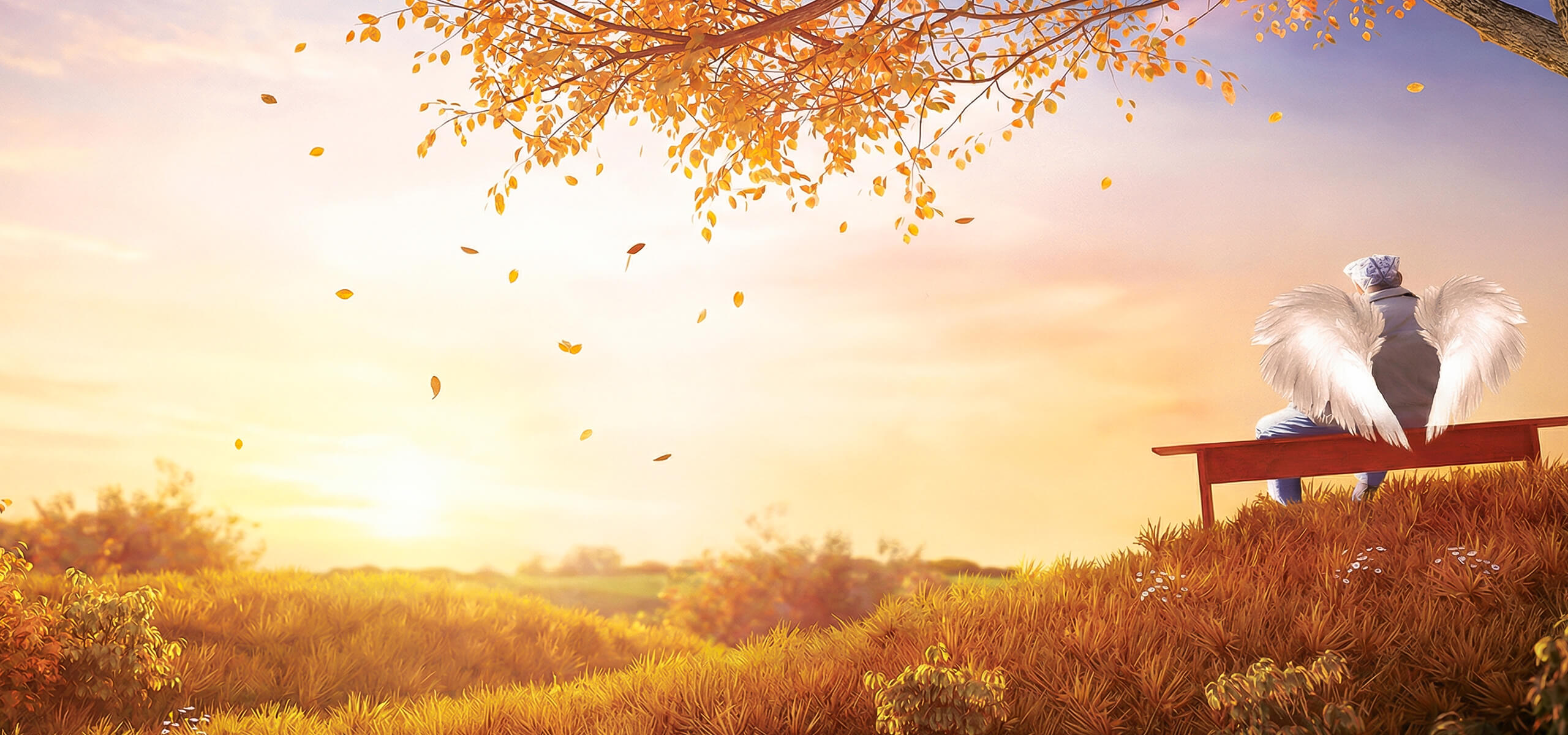 EINFACH LESEN: Robert Weinkauf liest „Ein Engel im Park“ in Einfacher Sprache